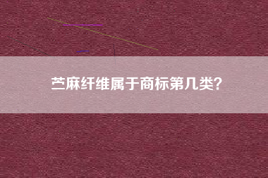 苎麻纤维属于商标第几类？