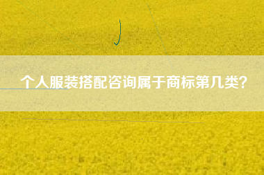 个人服装搭配咨询属于商标第几类？