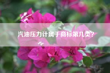 汽油压力计属于商标第几类？