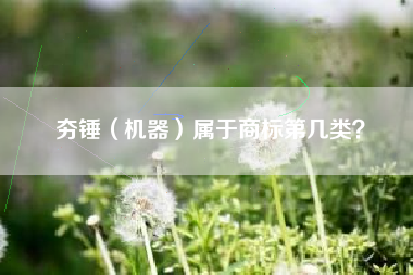 夯锤（机器）属于商标第几类？