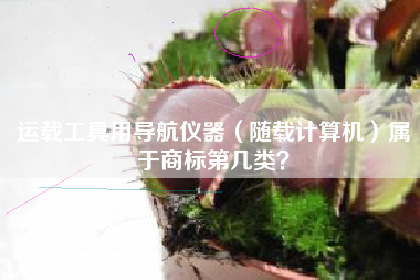 运载工具用导航仪器（随载计算机）属于商标第几类？