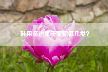 鞋用滚边属于商标第几类？