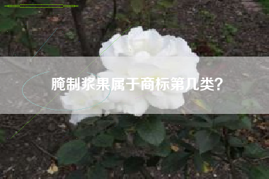 腌制浆果属于商标第几类？