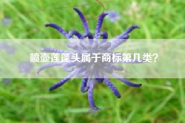 喷壶莲蓬头属于商标第几类？