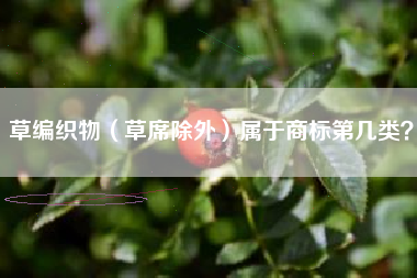 草编织物（草席除外）属于商标第几类？