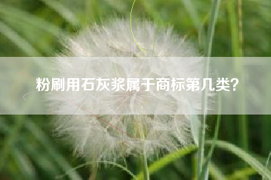 粉刷用石灰浆属于商标第几类？
