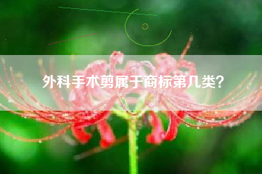 外科手术剪属于商标第几类？