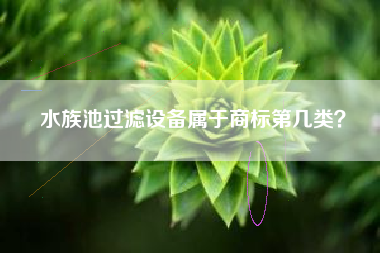 水族池过滤设备属于商标第几类？