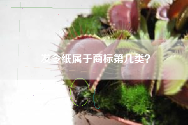 发令纸属于商标第几类？