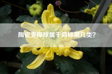 陶瓷支撑球属于商标第几类？