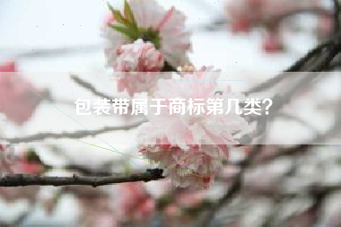 包装带属于商标第几类？