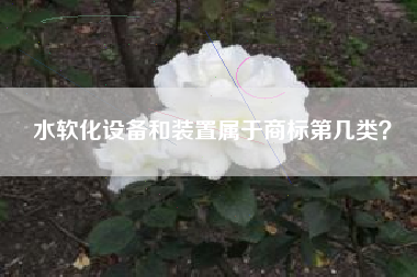 水软化设备和装置属于商标第几类？