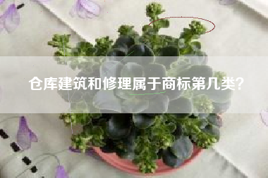 仓库建筑和修理属于商标第几类？