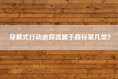 穿戴式行动追踪器属于商标第几类？