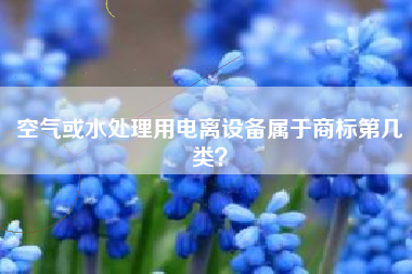 空气或水处理用电离设备属于商标第几类？