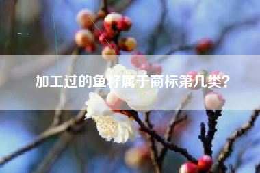 加工过的鱼籽属于商标第几类？