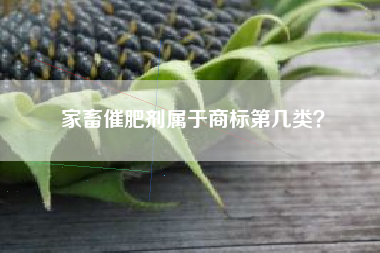 家畜催肥剂属于商标第几类？