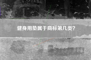 健身用垫属于商标第几类？