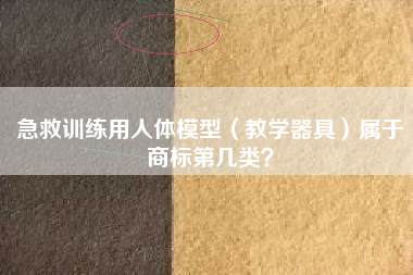 急救训练用人体模型（教学器具）属于商标第几类？