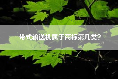带式输送机属于商标第几类？