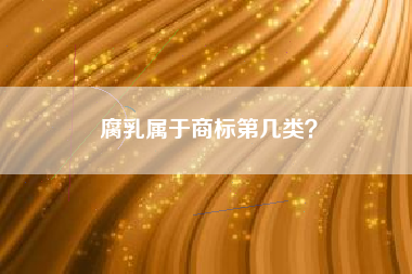 腐乳属于商标第几类？