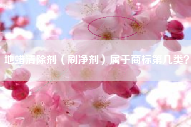地蜡清除剂（刷净剂）属于商标第几类？