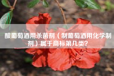 酿葡萄酒用杀菌剂（制葡萄酒用化学制剂）属于商标第几类？