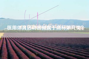 医用体育活动器械属于商标第几类？
