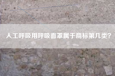 人工呼吸用呼吸面罩属于商标第几类？