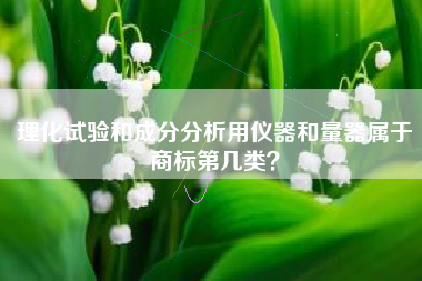 理化试验和成分分析用仪器和量器属于商标第几类？