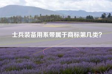 士兵装备用系带属于商标第几类？