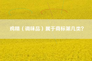 鸡精（调味品）属于商标第几类？