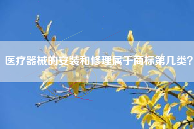 医疗器械的安装和修理属于商标第几类？