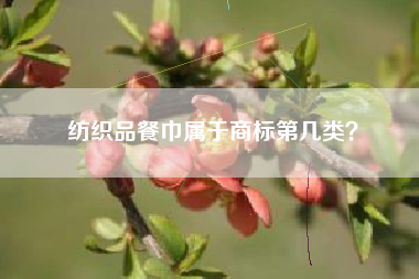 纺织品餐巾属于商标第几类？