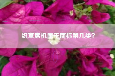 织草席机属于商标第几类？