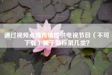 通过视频点播传输提供电视节目（不可下载）属于商标第几类？