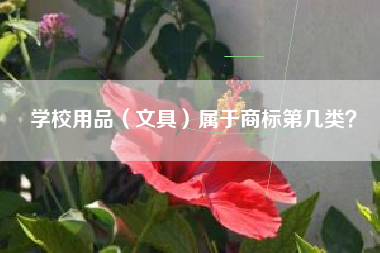 学校用品（文具）属于商标第几类？