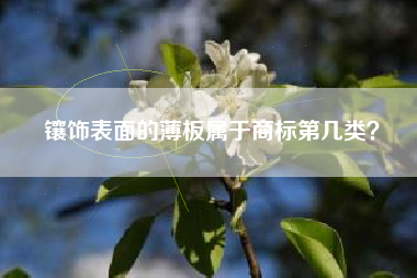 镶饰表面的薄板属于商标第几类？
