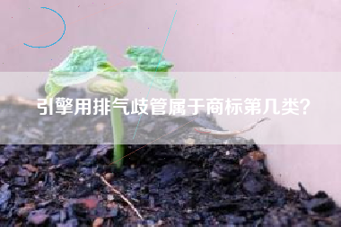 引擎用排气歧管属于商标第几类？