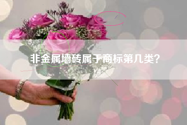 非金属墙砖属于商标第几类？