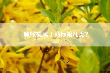腌橄榄属于商标第几类？