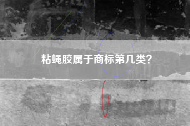 粘蝇胶属于商标第几类？