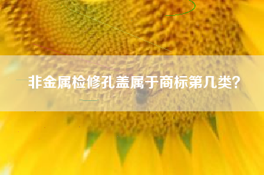 非金属检修孔盖属于商标第几类？