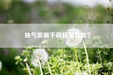 抽气泵属于商标第几类？