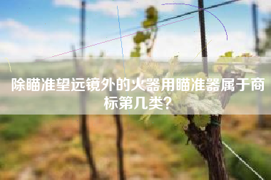除瞄准望远镜外的火器用瞄准器属于商标第几类？