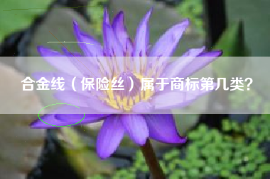 合金线（保险丝）属于商标第几类？