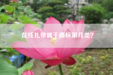 花线扎带属于商标第几类？