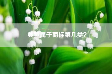 姜黄属于商标第几类？