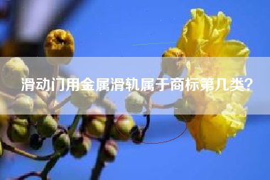 滑动门用金属滑轨属于商标第几类？