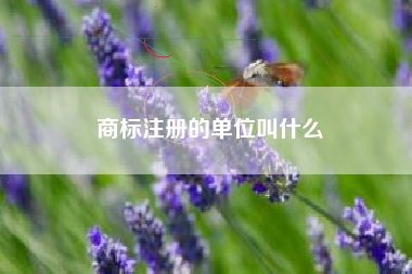 商标注册的单位叫什么